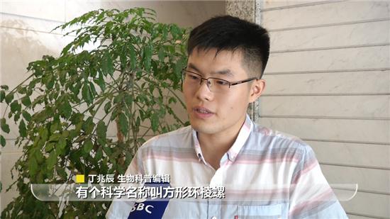 螺蛳被列入保护动物还能吃吗？别担心！此螺蛳非彼螺蛳