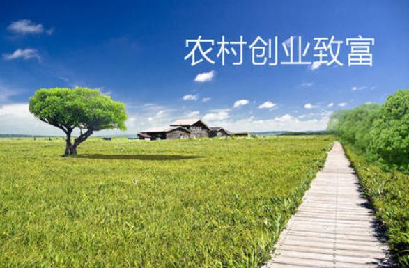 想赚钱就去农村？未来十年内农村成\"淘金场