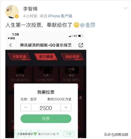 李智楠人生第一次投票为支持金莎狂投2500票