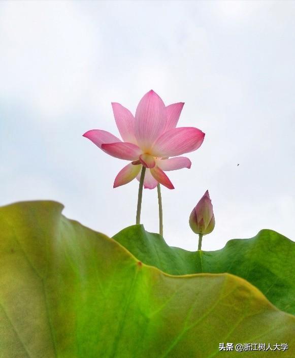 学会这些技巧，你也能拍出令人羡慕的“大片”