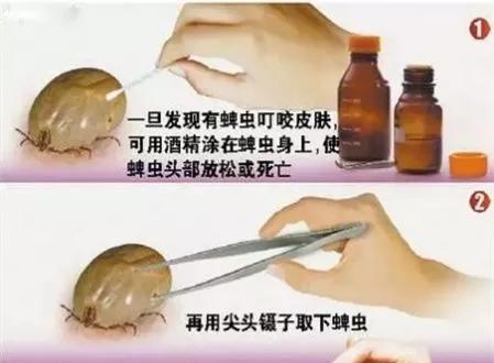 抚州人注意！近期高发！严重可致命