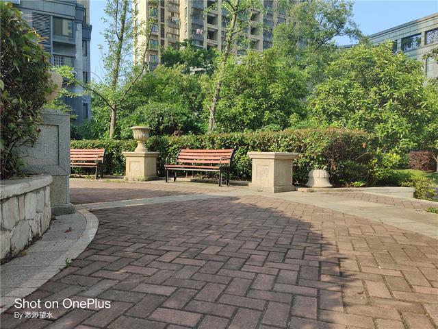 OnePlus 8 Pro深度体验！高素质屏幕下的真安卓旗舰