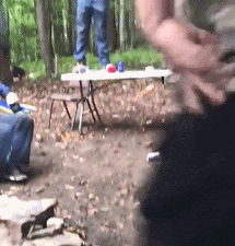 搞笑GIF：你不好好学习打扰人家干嘛啊