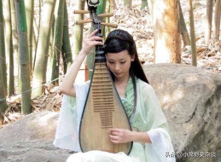 白居易《琵琶行》：底层人物琵琶女，虽小道必有可观者，凄惨乎