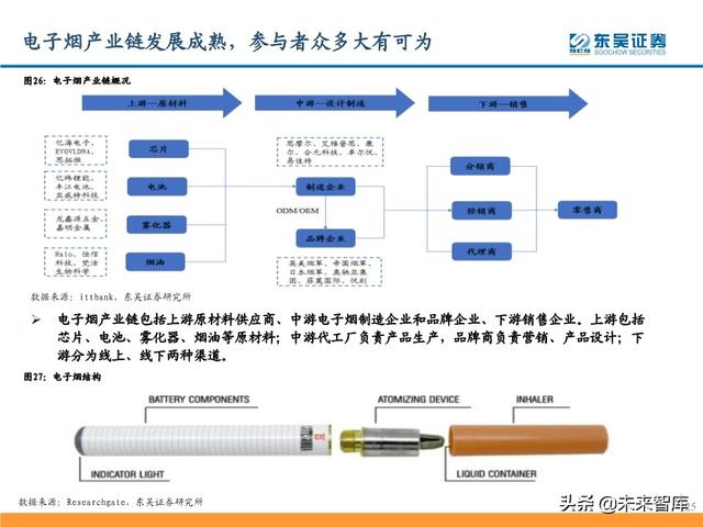 电子烟行业研究及投资策略：从思摩尔看电子烟黄金时代