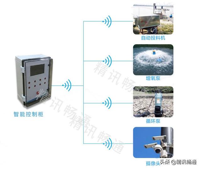 什么是智慧水产养殖智慧水产养殖设备有哪些