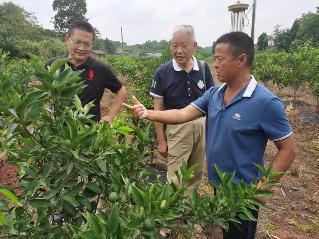 仁寿县联合生态农业促进会打造“明日见”高端区域品牌