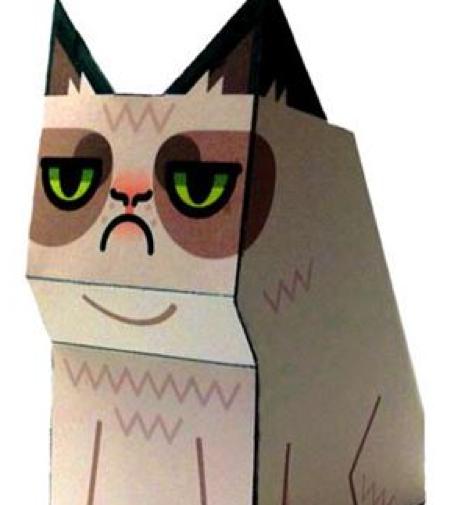 特朗普这句话，严重伤害了反华队友的感情