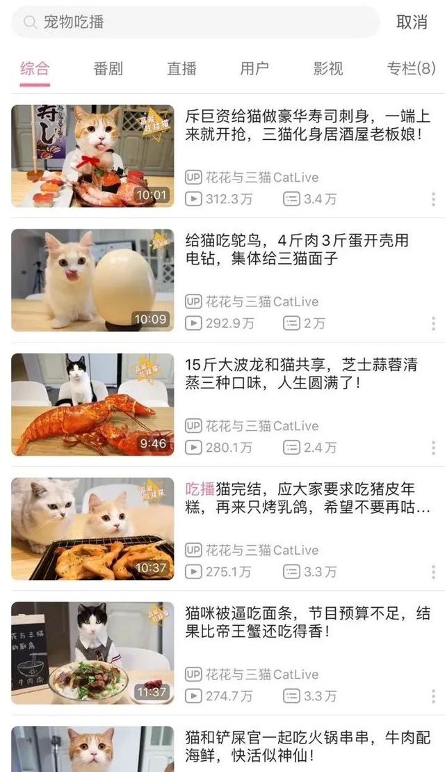 一顿饭吃掉300块，这年头猫狗吃得比人好？