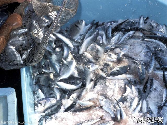 航母的食物饮水补给从何而来，怎么保存呢