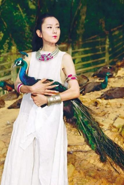 恶评杨丽萍网友视频回应：无意重伤任何人，怒