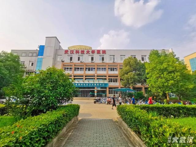 武汉科技大学，神一样的大学