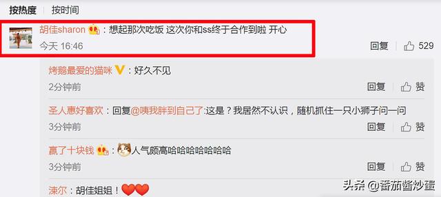 品牌方提前放料，刘诗诗有望收获奢侈品代言，同框的还有刘昊然
