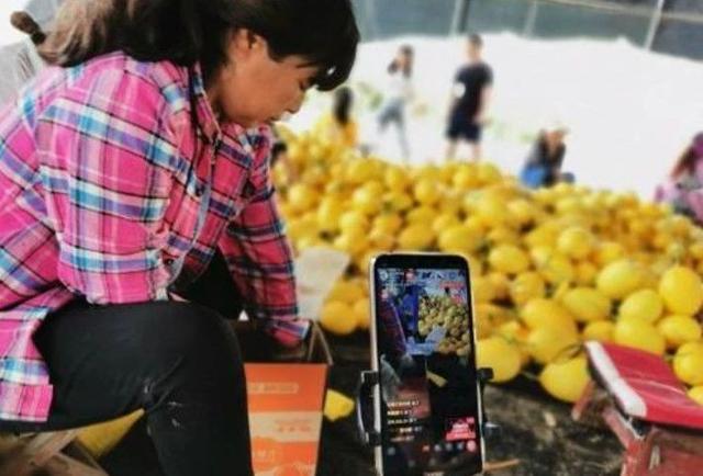 农村电商应该大力发展跨境业务；传统生鲜产业