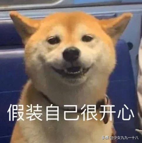 众所周知，直男用心=场面垮台，本以为他们会是王者……