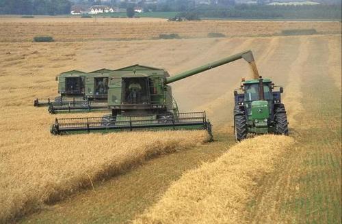 好消息！2020粮补到账时间，粮食补贴标准来了