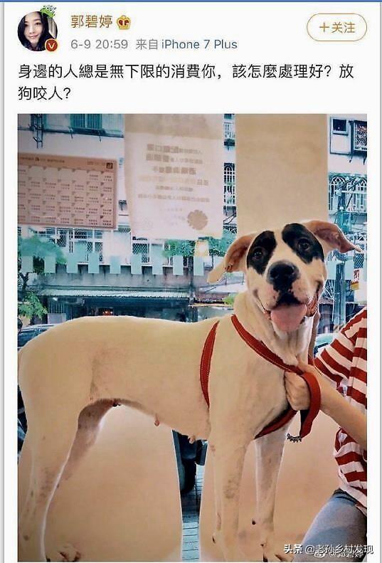 郭碧婷又有新动态，网友：她情绪反复，是不是有孕在身的反应？