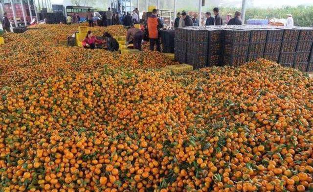 有恩必报，在我国接纳该国20万吨水果后，给我国