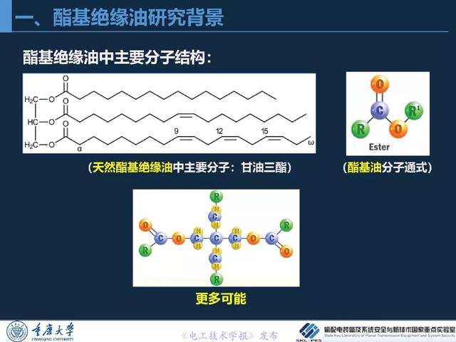 重慶大學(xué)王飛鵬研究員：高性能酯基絕緣油與變壓器應(yīng)用