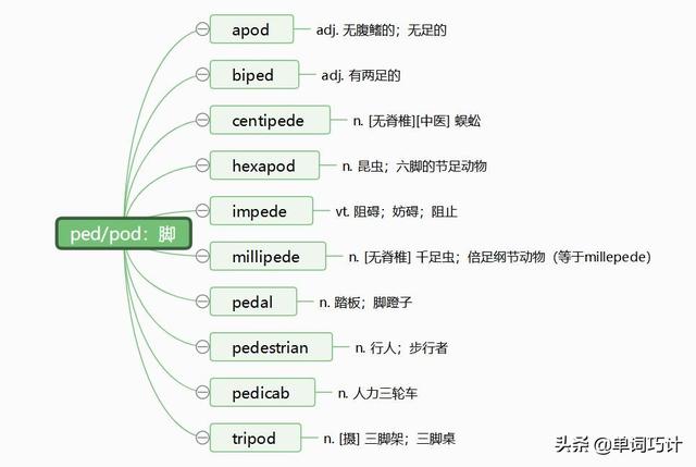 脚用英语怎么读(英语单词怎么拼读)