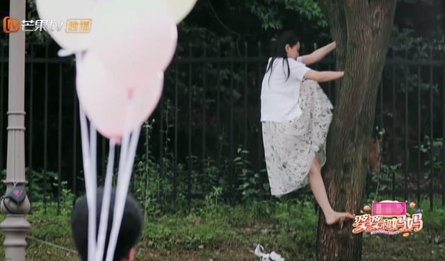 伊能静话太多还玻璃心？节目被秦昊怼后发生争吵，谈原生家庭泪崩