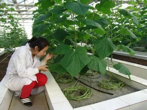 透视3个案例，告诉你如何找到科学种植的突破口，赶紧上车