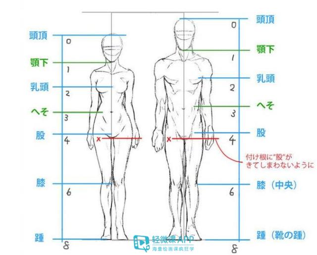 动漫人体比例的详细画法!