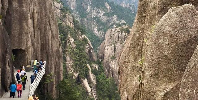 黄山挤爆，旅游业报复性反弹？数据出来了