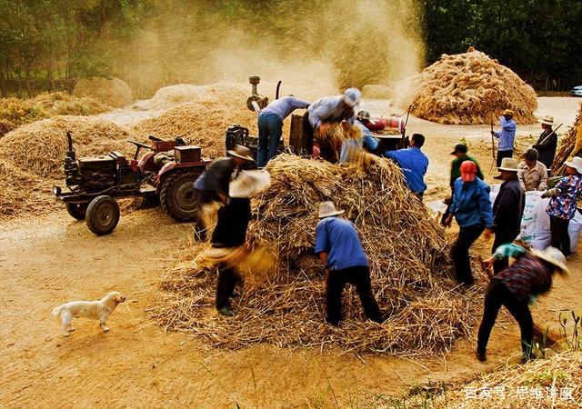 什么是合村定居？农民何去何留？