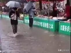 遛鱼|女子水中遛鱼回家 这操作直接把网友看呆了