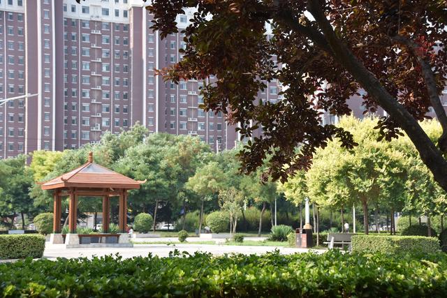 「三創四建」磁縣：綠化養護為縣城增“顏值”提“氣質”