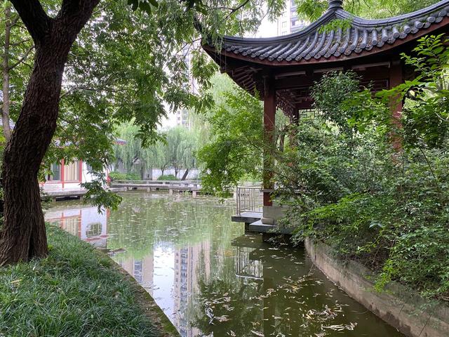 杭州女子失踪:小区居民称系再婚夫妻 曾因拆迁房争吵