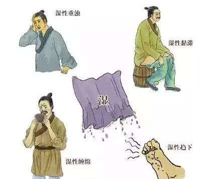 湿热体质遇到三伏天，如何调理？