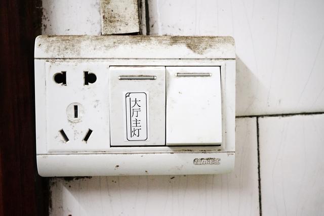 海鸟贴纸打印机测评，让枯燥生活生动了起来