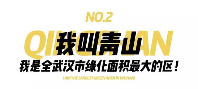 青山，武漢最閃亮的新名片