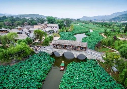 西安赏荷地图出炉，这个夏天的赏荷之旅，赶快安排起来吧