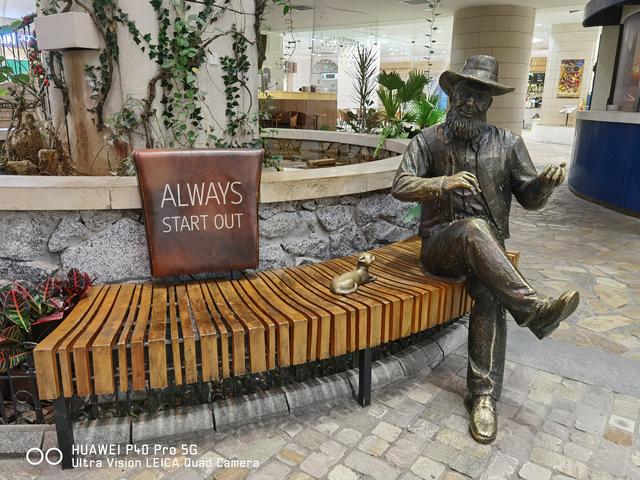 华为P40 Pro体验：用手机拍出好照片，其实真的很