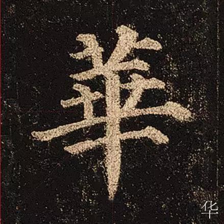 �����䡶�౦���������ɴ�����20����