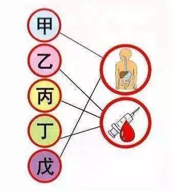 「健康科普」第十個(gè)肝炎日來了，你的小心肝還好嗎？