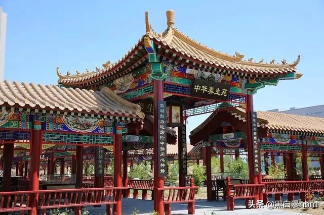 康养旅行｜医药健养一站式养生城——以岭健康城