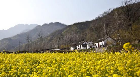 河南南阳宝天曼度假区