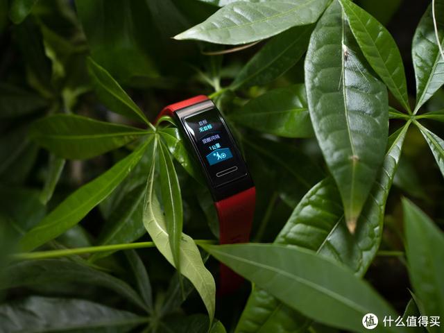 独立GPS + 血氧检测功能：HUAWEI 华为手环4 Pro上手体验