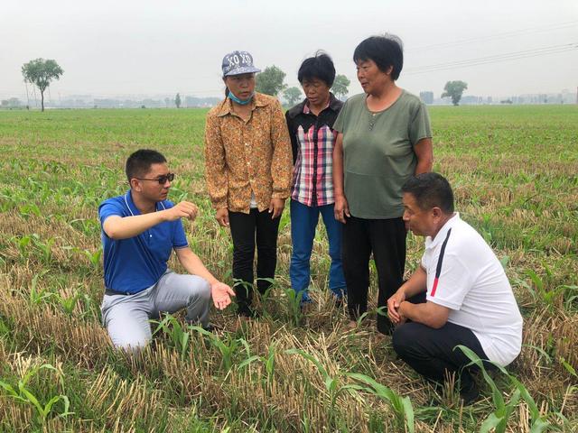 减肥减药减投入，增产增收增效益
