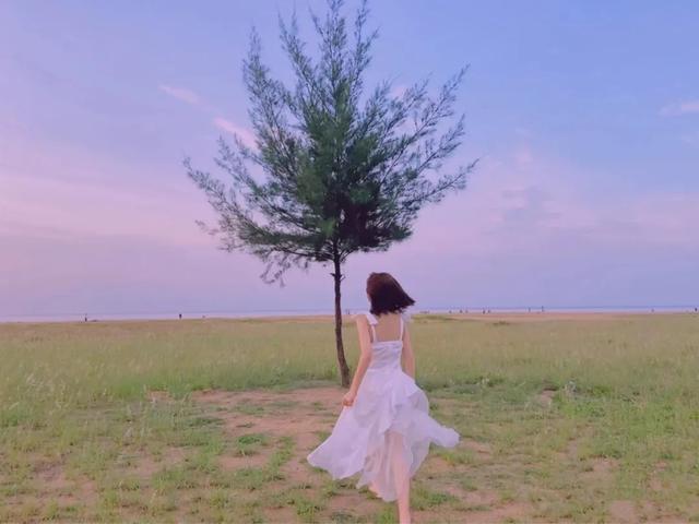 三亚1.5h直达！这座全国荔枝第一甜的海滨古城，