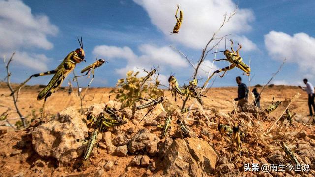 巴铁情况不太好！新冠肺炎疫情还未结束，巴基
