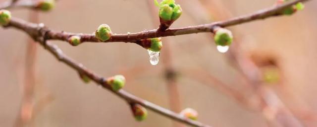 最近雨水多，人们容易堆积湿气；那么，怎么祛