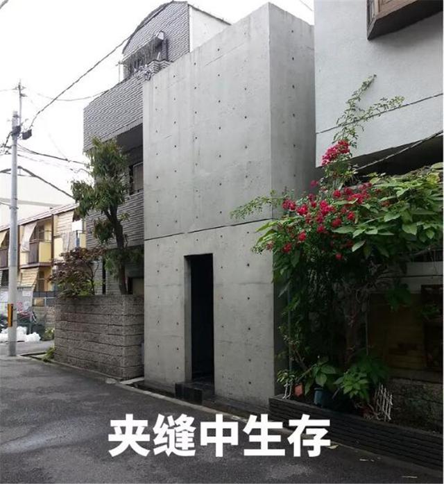 日本奇葩别墅：冬天哄完娃就不想回老公身边，下雨去厕所还得打伞