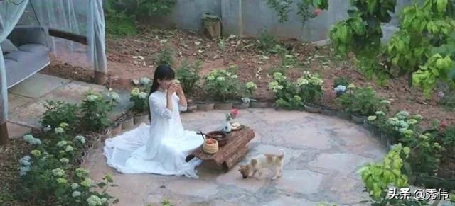 隐居山林过心中向往的生活，李子柒不忘初心，