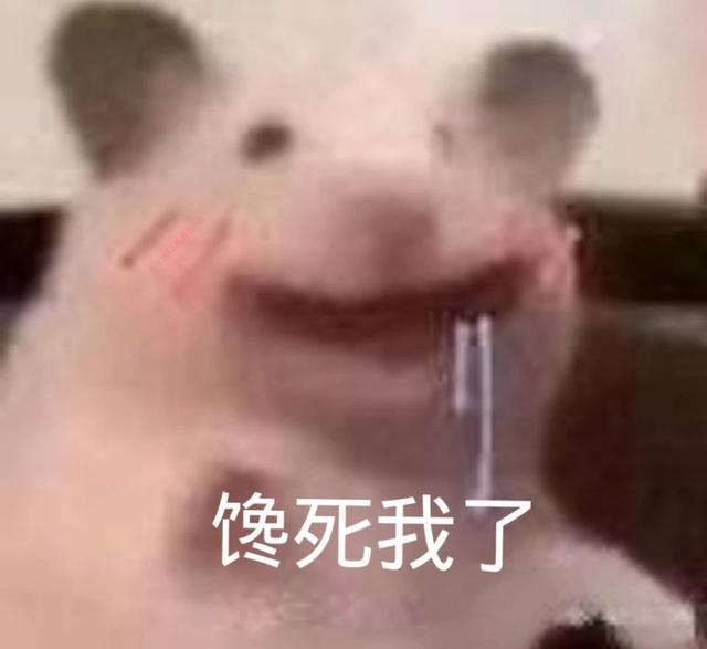 7.24 | 表情包来啦