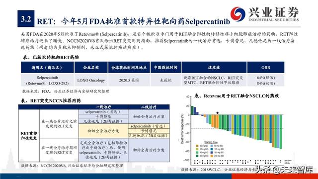 肺癌专题报告：序贯靶向治疗是核心，免疫联合治疗是新常态